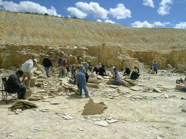 Fossil Lake in Wyoming is one of the most prolific fossil deposits in the world.